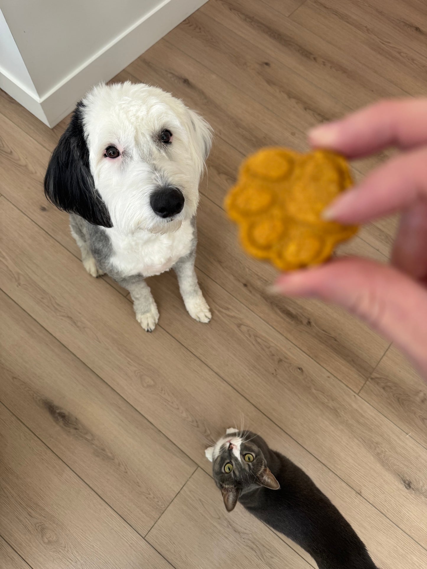 Peanut Butter Paws β Our Best-Selling Purpose Treat