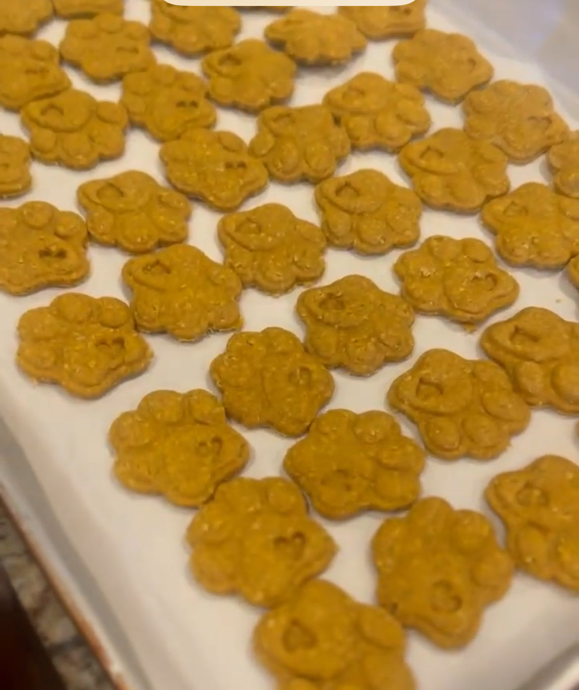 Peanut Butter Paws – Our Best-Selling Purpose Treat